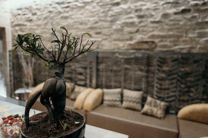 Via Aetcal Hotel & Wellness Santiago de Compostela Luaran gambar